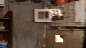 Вес цыплят яичного направления в 2 и 3 месяца