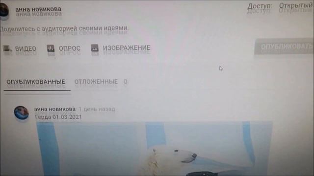 В пасмурную погоду мишки спят 04.03.2021 смотреть онлайн