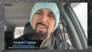 Выбор приманки: Цвет или форма?