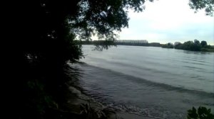 Рыбалка на волне позитива. Строгинская пойма.