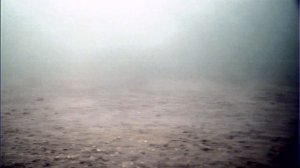 Как зимуют раки