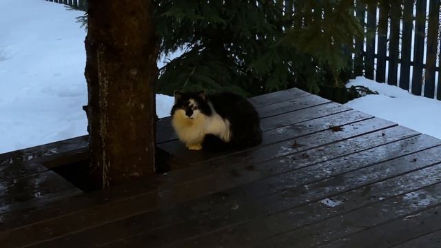 BDAY VLOG | Выходные в Lite Houses | (17.02.2024) смотреть онлайн