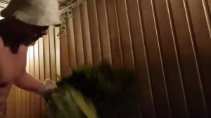 Как париться в бане правильно? Секреты правильной бани. Здоровье #02 / 365 секретов Счастья