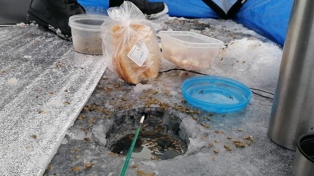 Рыбалка на озере Инголь смотреть онлайн