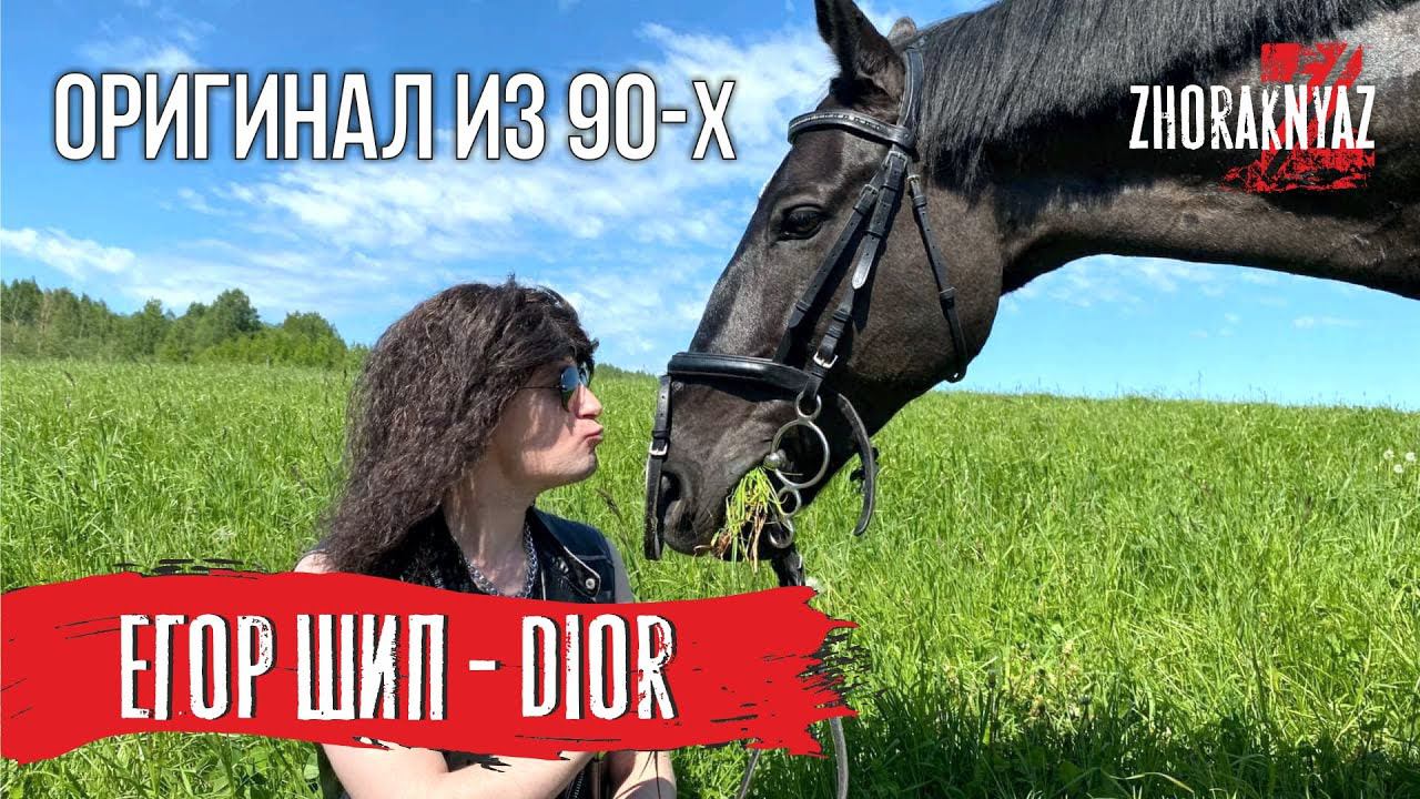 Егор Шип - DIOR (1993г COVER by Жора Князь)