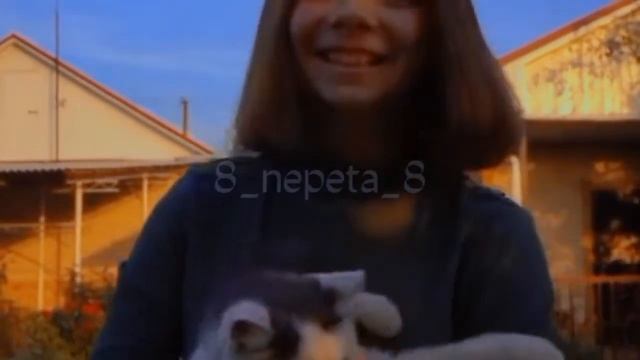 Как я обажаю Соню ??✨#nepeta#fypシ #gaming