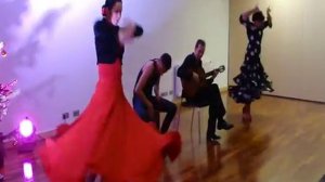 Flamenco presentation