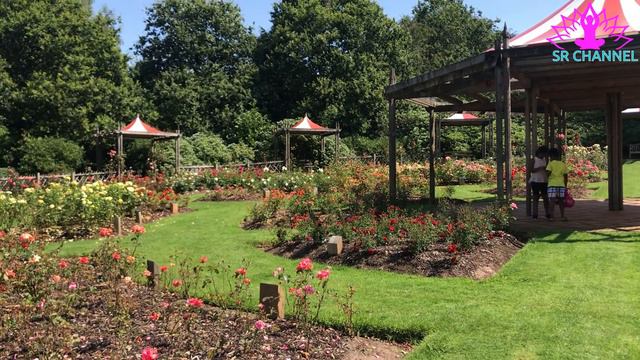 Irish Heritage ( Rose Garden ) Telugu Vlogs from UK !! # 4 смотреть онлайн