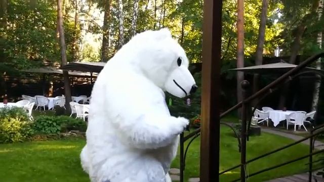 Ростовая кукла Белый Медведь заказать на праздник