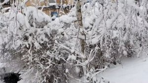 Зимняя Сказка. Одесса. Сальваторе Адамо-Падает снег. Odessa. Salvatore Adamo - Snow is Falling