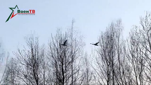 ПРОВЕРКА смотреть онлайн