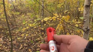 САМООБОРОНА ОТ СОБАК. «КОНТРОЛЬ-АС» . "Anti dog". ШУМОВОЙ БАЛЛОНЧИК. ОБЗОР и ТЕСТ . Мои впечатления