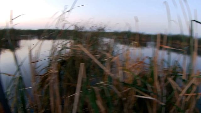 Охота.Охота по перу.Охота на утку 2021. Открытие сезона... смотреть онлайн