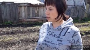 Огурцы, арбуз и дыня растут вместе!