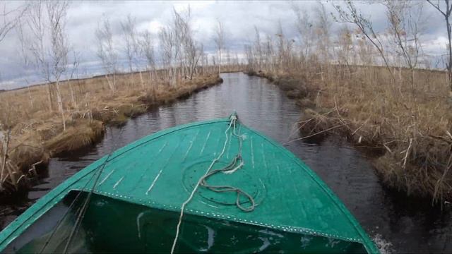 Выезд в непроходимые места Новосибирской области. Рыбалка на болотах. смотреть онлайн