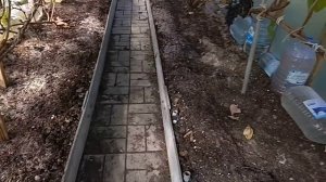 Виноград в Ленинградской области. Атос, пасынковый урожай на Велесе, Юбилей Новочеркасска.