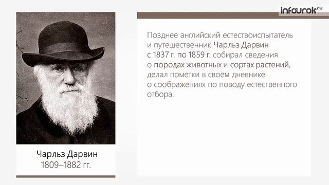 Учение об эволюции органического мира | Биология 9 класс #25 | Инфоурок