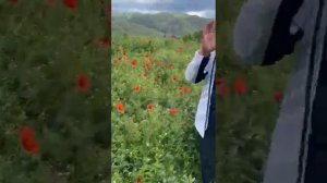 чуйская долина