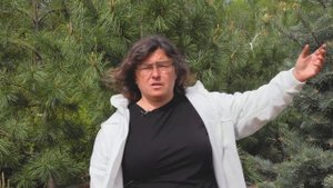 Ответы на вопросы выпуск 2: Использование почвы из леса