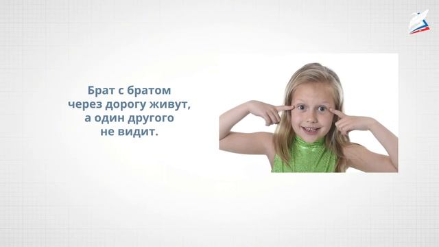 Организм человека. Органы чувств