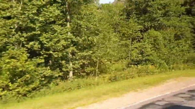 НАРОЧЬ! Поездка на Мядельском автобусе МАЗ 241.030, Г/№ AC 0346-5, маршрут 563 (20.07.2022) смотреть онлайн