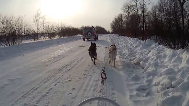 Едемедем мы на дачу