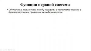 Урок №34 "Нервная система, строение и функции"