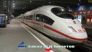 Стоимость Билета Белгород Москва Жд