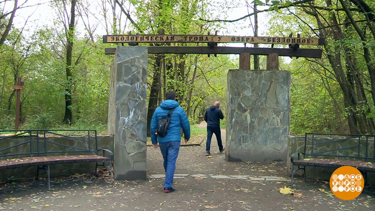 Выходим на тропу! Экологическую... Доброе утро. Фрагмент выпуска от 19.10.2023