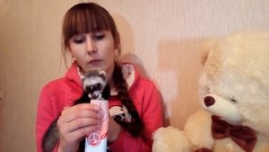 Мой опыт в воспитании хорька!!Как воспитывала Эрну!
