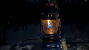 Соло кемпинг зимой. Bushcraft. Копченый лосось и стейк на костре. ASMR