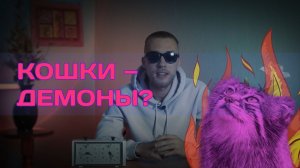 Почему кошки нас ненавидят? // И почему мы любим их? Философия котов