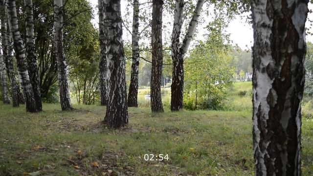 ОНА БЫЛА МОИМ ПОДАРКОМ, НО УВЫ. Измена. Истории измен. Жизненные истории, аудио рассказы
