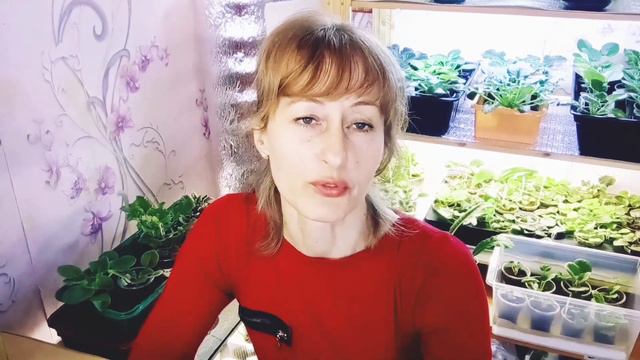 А Вам бывает стыдно? Это же просто фиалки! смотреть онлайн