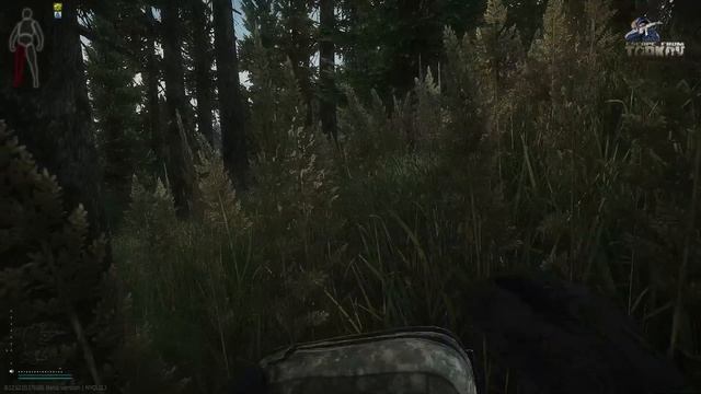 Тарков. Вышел диких пострелять в синей каске и шлеме. смотреть онлайн