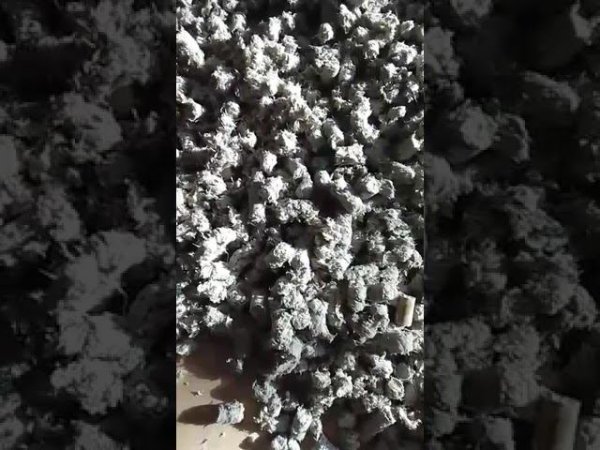 WhatsApp Video 2023 05 11 at 08 46 51