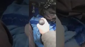 Как правильно переключать коробку передач на Камаз 65115 2022 года