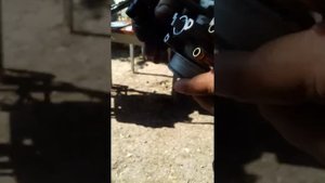Замена датчиков дроссельной заслонки опель вектра B C 1996 год