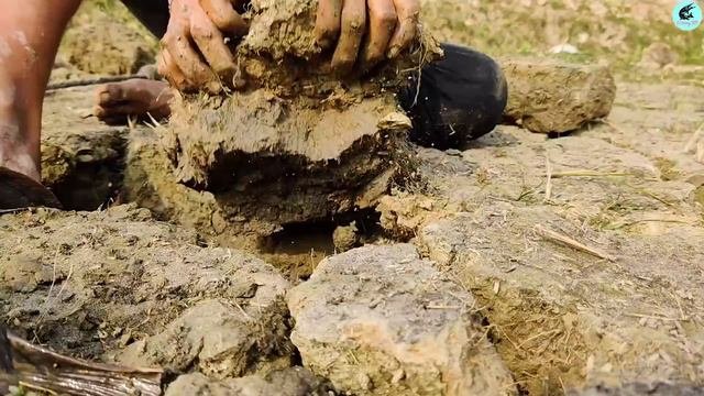Unique Fishing Catching 2021 | In Dry Season  Catching Catfish From Underground Secret Hole