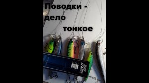 Поводки дело тонкое.