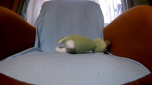 Бурундучий хвост смотреть онлайн