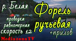 #рр4 р.Белая Форель ручьевая + прилов 02.04.