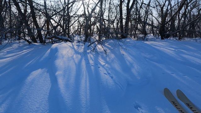 ОХОТА НА ЗАЙЦА. НЕ ПОВТОРЯЙТЕ ЭТОЙ ОШИБКИ! смотреть онлайн