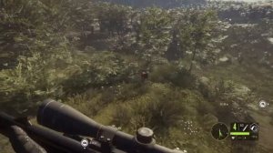 Охота на Благородного Оленя |the Hunter Call of the Wild