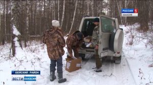 В целях снижения заболеваемости бешенством, в Хакасии началась вакцинация диких животных. 14.12.201