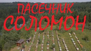 СОЛОМОН, продолжение, 2024 год