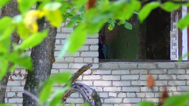 Отстрел с подигона Юный Ленинец. смотреть онлайн