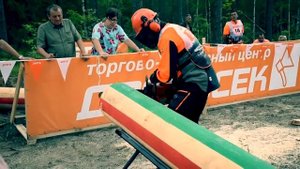 ✅ Минприроды Республики Марий Эл - Вальщик леса 2020