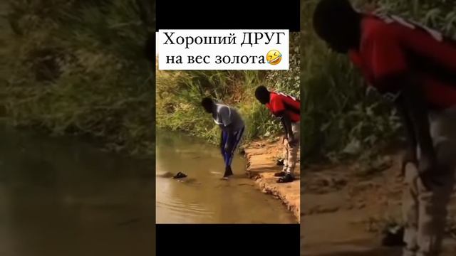 Хороший друг