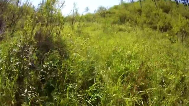 3000 км по Алтаю. Онгудайский район. Лето 2015. Часть первая. Altai Republic